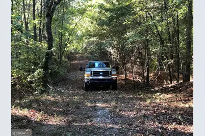 Lot 10 Triune Mill Road, Thomaston, GA 30286 - Photo 14