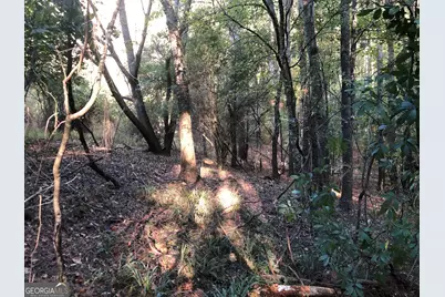 Lot 10 Triune Mill Road, Thomaston, GA 30286 - Photo 26