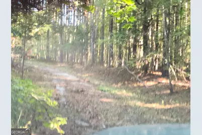 Lot 10 Triune Mill Road, Thomaston, GA 30286 - Photo 22
