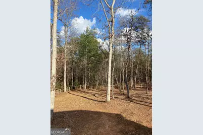 184 Haybrook Drive, Cleveland, GA 30528 - Photo 34