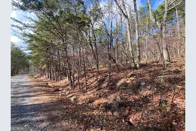 0 Quail Way #LOT 533, Jasper, GA 30143 - Photo 8