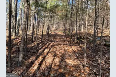 0 Quail Way #LOT 533, Jasper, GA 30143 - Photo 4
