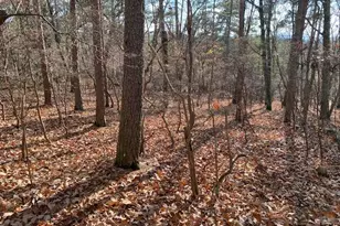 0 Quail Way, Jasper, GA 30143 - Photo 1