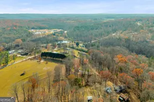 274 Montego Bay Trl, Clarkesville, GA 30523 - Photo 54