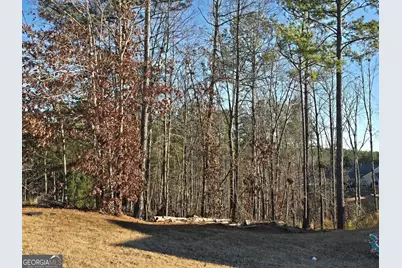 8351 Dublin Drive, Winston, GA 30187 - Photo 4