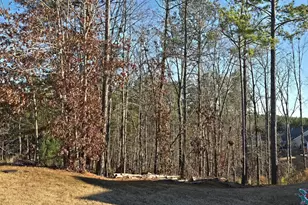 8351 Dublin Dr, Winston, GA 30187 - Photo 4