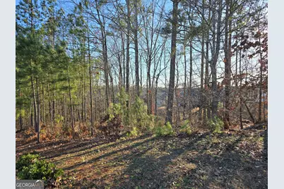 8351 Dublin Drive, Winston, GA 30187 - Photo 2