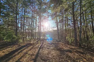 8322 Loch Lomand Ln, Winston, GA 30187 - Photo 8