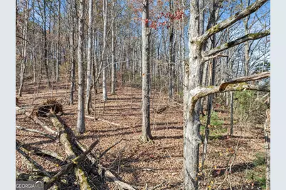 Lot 50 &amp; 51 Meadow Crest Drive, Cleveland, GA 30528 - Photo 8