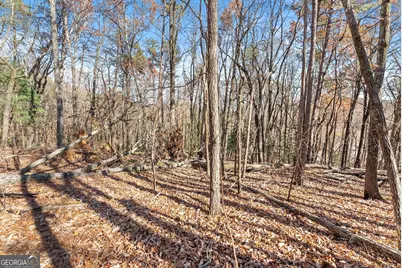 Lot 26 &amp; 27 Spring Crest Road, Cleveland, GA 30528 - Photo 6