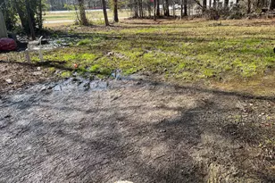 1811 McNutt Creek Rd, Bogart, GA 30622 - Photo 12