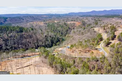 241 High River Crossing #241, Ellijay, GA 30540 - Photo 16