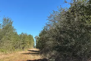 68 Sand Rdg Rd, Rhine, GA 31077 - Photo 36