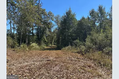 68 Sand Ridge Road, Rhine, GA 31077 - Photo 40