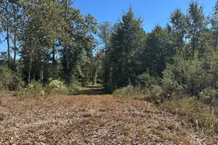 68 Sand Rdg Rd, Rhine, GA 31077 - Photo 40