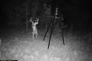 68 Sand Rdg Rd, Rhine, GA 31077 - Photo 52