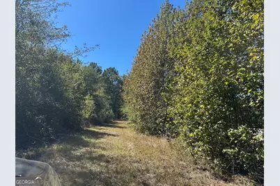 68 Sand Ridge Road, Rhine, GA 31077 - Photo 48