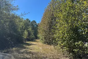 68 Sand Rdg Rd, Rhine, GA 31077 - Photo 48