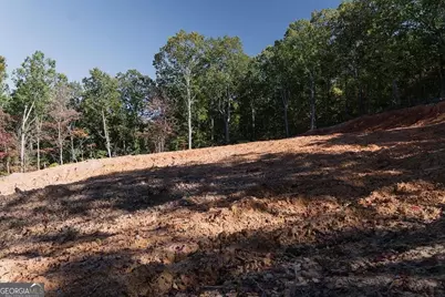 34 E Heritage Drive NE, Rydal, GA 30171 - Photo 28
