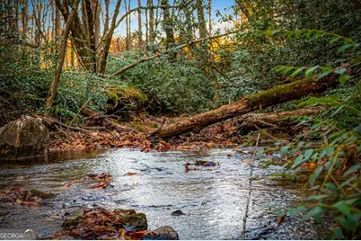 90 Hay Lane, Morganton, GA 30560 - Photo 58