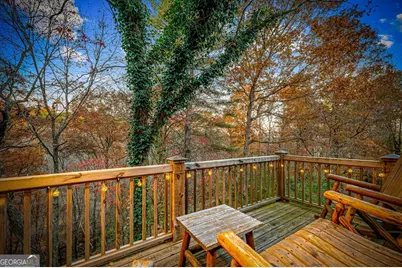 90 Hay Lane, Morganton, GA 30560 - Photo 50