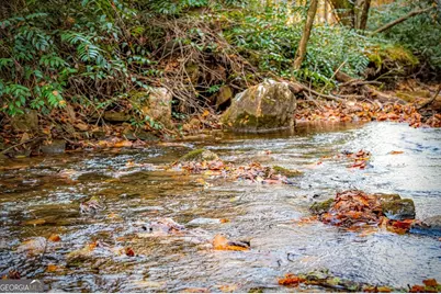 90 Hay Lane, Morganton, GA 30560 - Photo 66