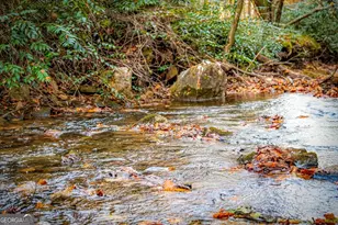 90 Hay Ln, Morganton, GA 30560 - Photo 66