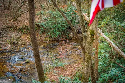 90 Hay Lane, Morganton, GA 30560 - Photo 56