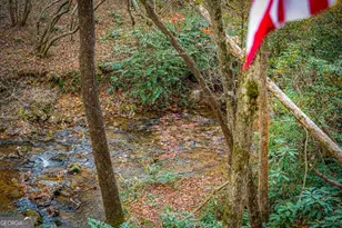 90 Hay Ln, Morganton, GA 30560 - Photo 56