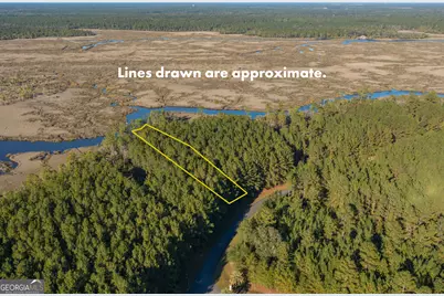 Lot 116 La Mare Lane, Waverly, GA 31565 - Photo 2