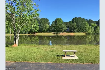 104 Blue Ridge Drive, Newnan, GA 30265 - Photo 58