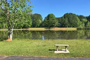 104 Blue Ridge Dr, Newnan, GA 30265 - Photo 58