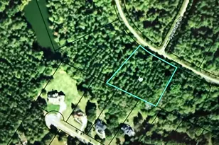 0 Colbert-Danielsville Rd Lot 10, Danielsville, GA 30633 - Photo 1
