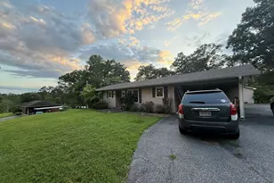 2905 River Rd, Mineral Bluff, GA 30559 - Photo 1