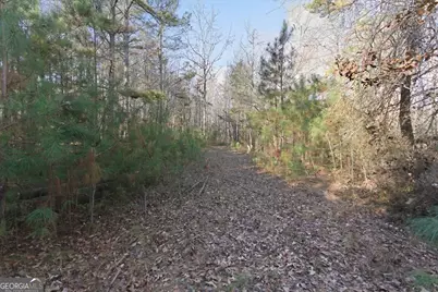 469 Lee Williams Road, Carrollton, GA 30117 - Photo 14