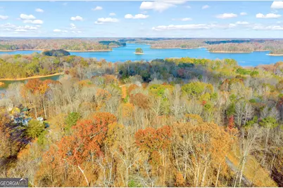 0316 Arrowhead Drive #316, Lavonia, GA 30553 - Photo 10