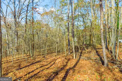 0316 Arrowhead Drive #316, Lavonia, GA 30553 - Photo 16