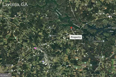 0316 Arrowhead Drive #316, Lavonia, GA 30553 - Photo 8