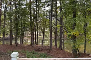 177 Sunny Brook Dr, Newnan, GA 30263 - Photo 30