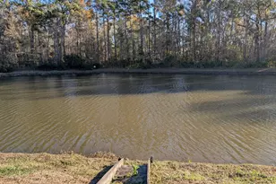 155 Alexander Way, Richmond Hill, GA 31324 - Photo 34