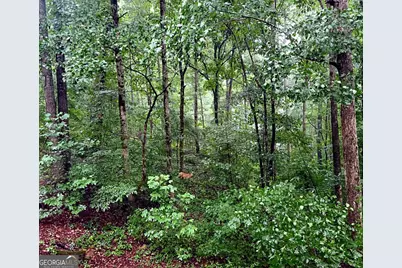 324 Sutallee Place, White, GA 30184 - Photo 28