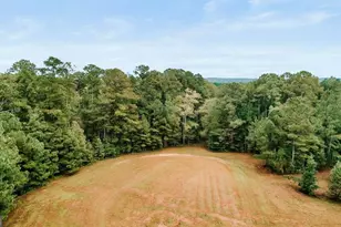 5971 Penfield Rd, Union Point, GA 30669 - Photo 42