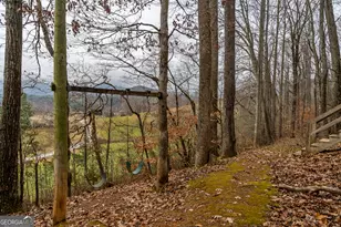 115 Barnhill Rd, Blairsville, GA 30512 - Photo 52