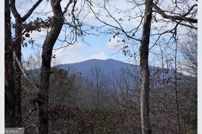 16 Souther Ridge Conn #78, Blairsville, GA 30512 - Photo 2