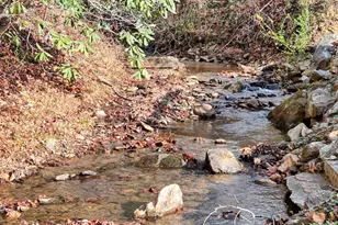 164 Bear Bnd, Blairsville, GA 30512 - Photo 2