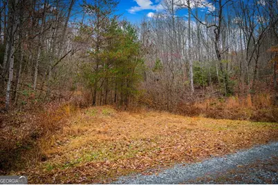 208 Bullen Gap Road, Blue Ridge, GA 30513 - Photo 48