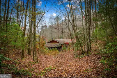 208 Bullen Gap Road, Blue Ridge, GA 30513 - Photo 62