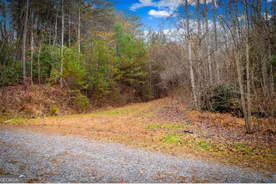 208 Bullen Gap Road, Blue Ridge, GA 30513 - Photo 54
