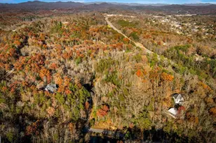 208 Bullen Gap Rd, Blue Ridge, GA 30513 - Photo 2