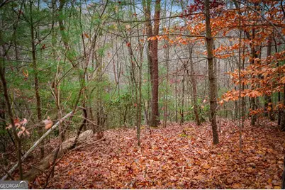 208 Bullen Gap Road, Blue Ridge, GA 30513 - Photo 60